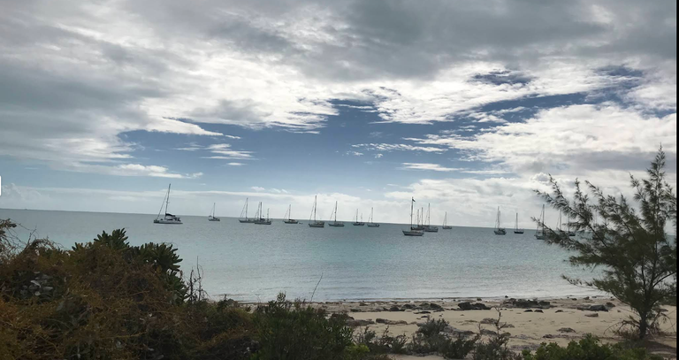 Little Farmer’s Cay: Hidden Caves and Turquoise Trails